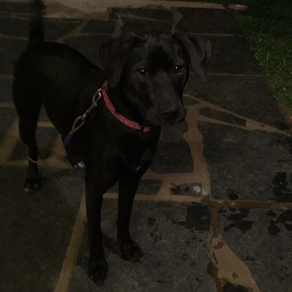 Meet your Posher, Cynthia